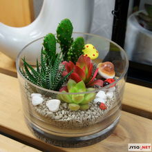 俏皮綠植送清涼，花卉禮品助你留住夏日清新